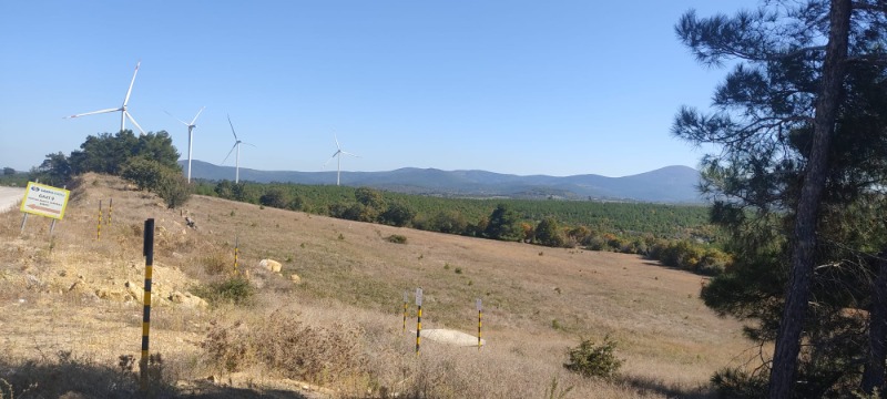 Bayramiç Köylü Köyü`daTarla. - 4